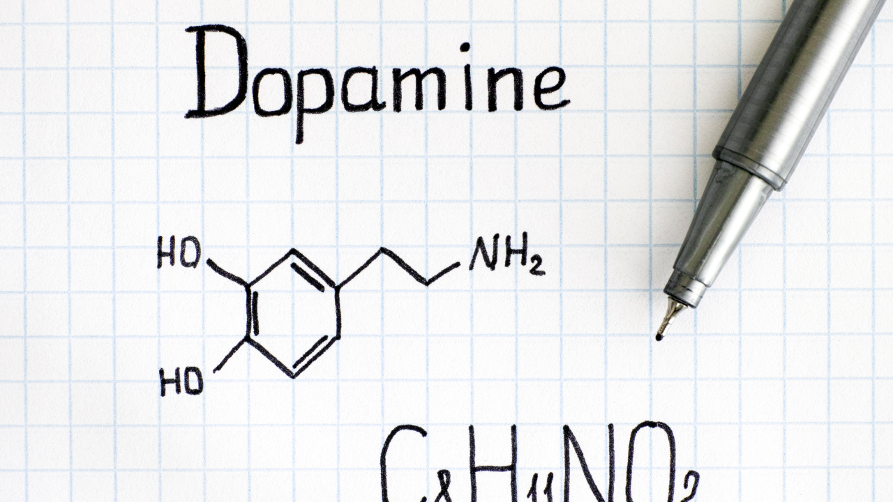 What is Dopamine and how it affects the brain